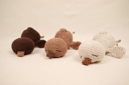 Slapend eendje Caramel